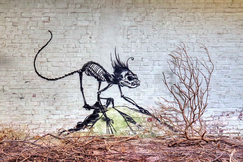 HDR graffiti streetart street-art street art skeleton factory urbex roa klaas van der linden kunst kunstwerk decay verlaten lost place places abandoned